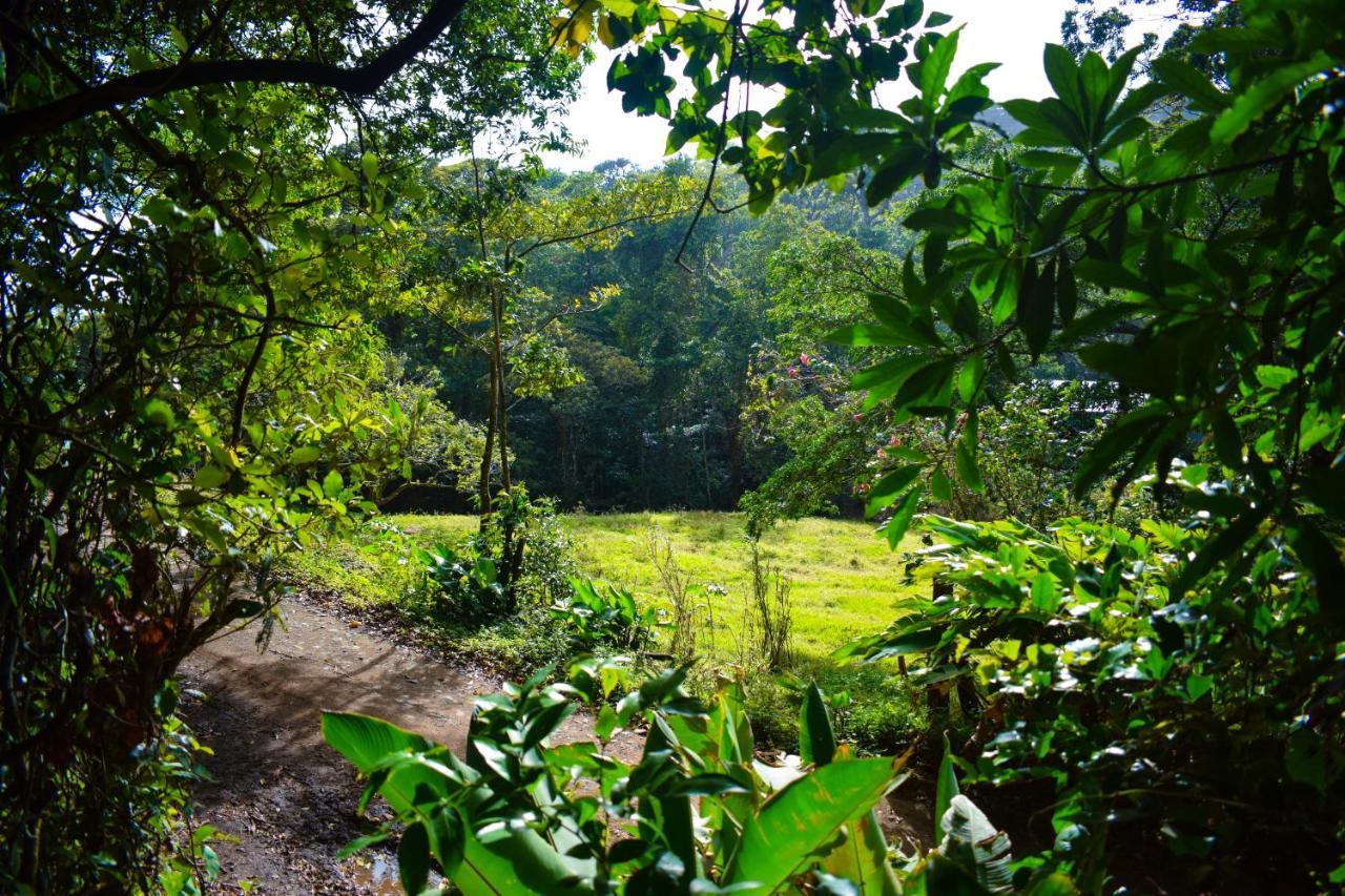Cabañas Lys Monteverde Exterior foto